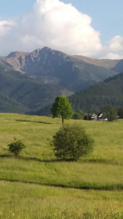 Domek Pod Ubocom Zakopane Zewnętrze zdjęcie